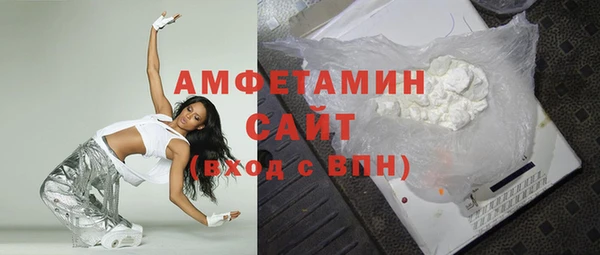 шишки Богородицк