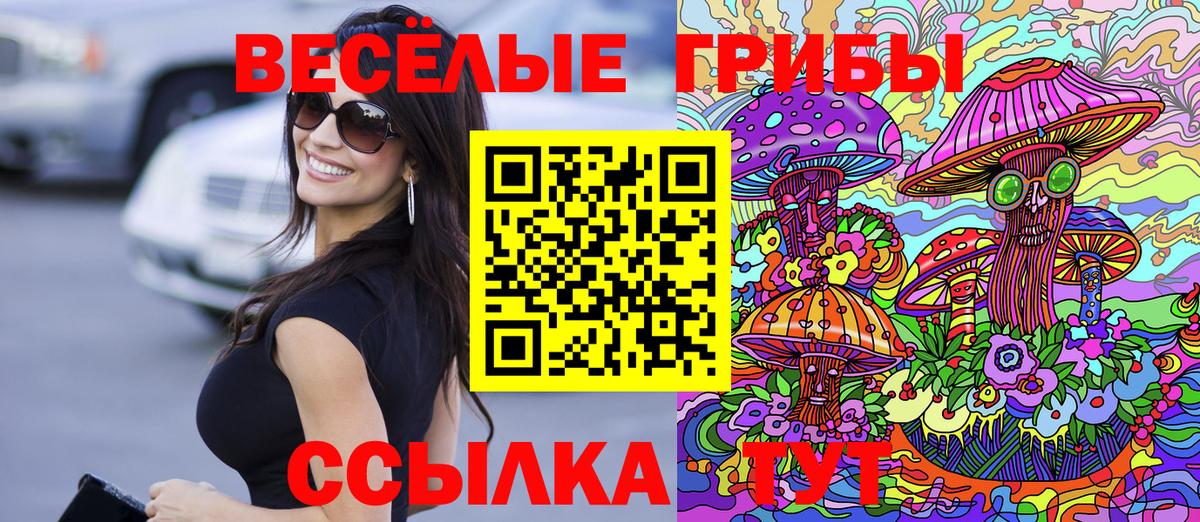 Псилоцибиновые грибы Psilocybe Муравленко