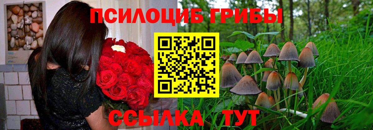 Галлюциногенные грибы Magic Shrooms  Вход с VPN  купить наркотик  Муравленко 